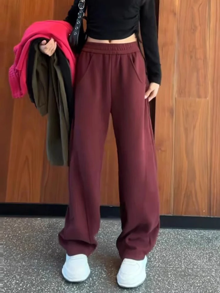 2024 Women Autumn Winter New Plus Velvet Warm Pants Female High Waist Harem Pants Ladies Solid Color Loose Casual Trousers E301