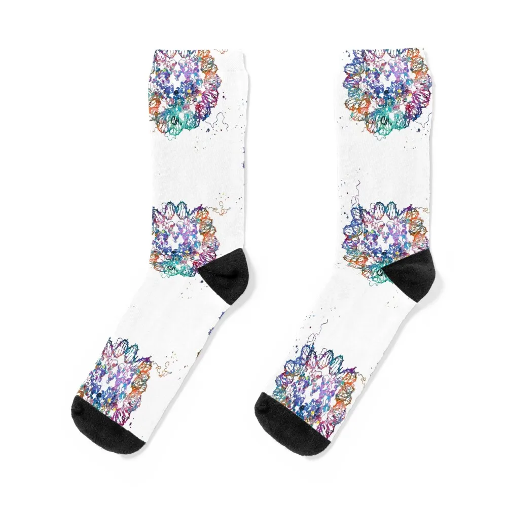 Dna Crystal Structu… - image