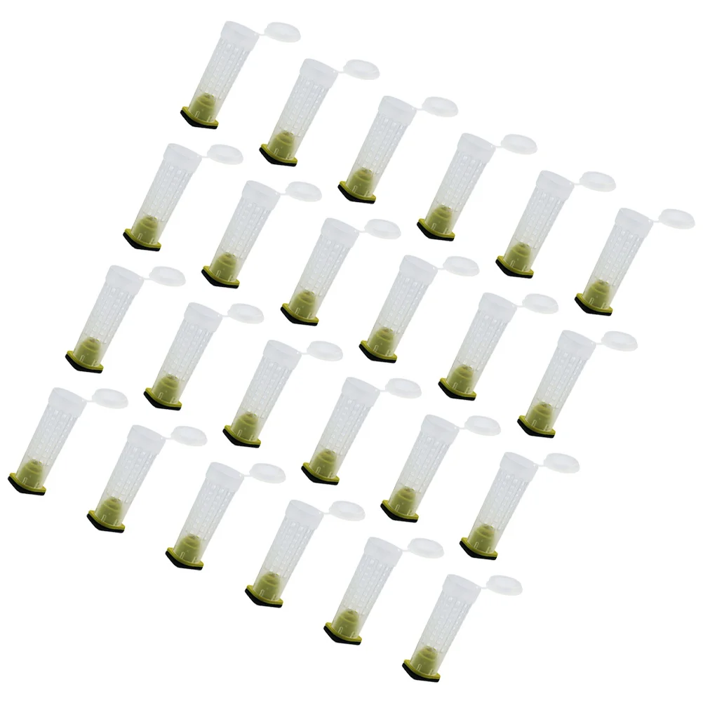 

30Pcs Protection Plastic Bee Keeper Mesh Cage for Transport Breeding Beekeeping Equipment Farm Equipment