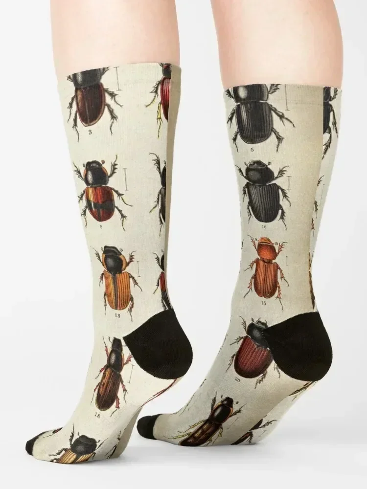 Beetle Chart, entomology Socks professional running anti slip football floral Soccer Socks For Men Women's