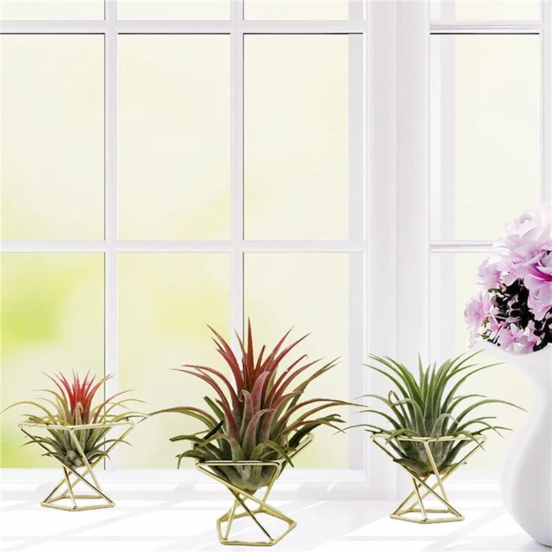 

ABWP-12 Pcs Geometric Air Plant Holder Airplants Rack Metal Plants Stand Planter Shelves Himmeli Decor Tillandsia Containers