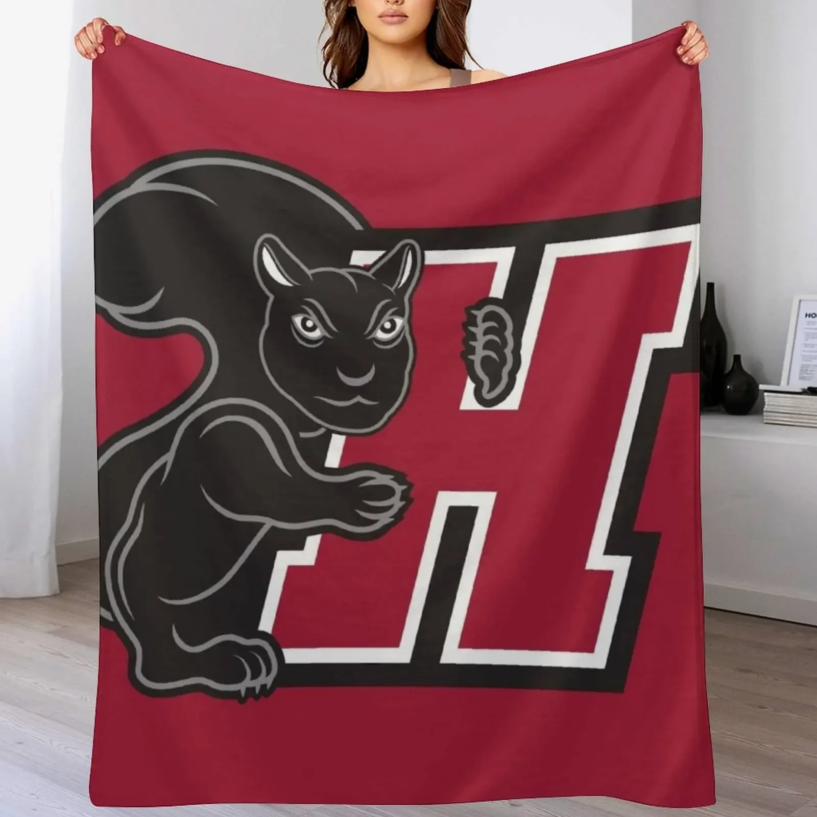

New Haver Fo Throw Blanket Multi Use Warm Blanket for Living Room Bedroom