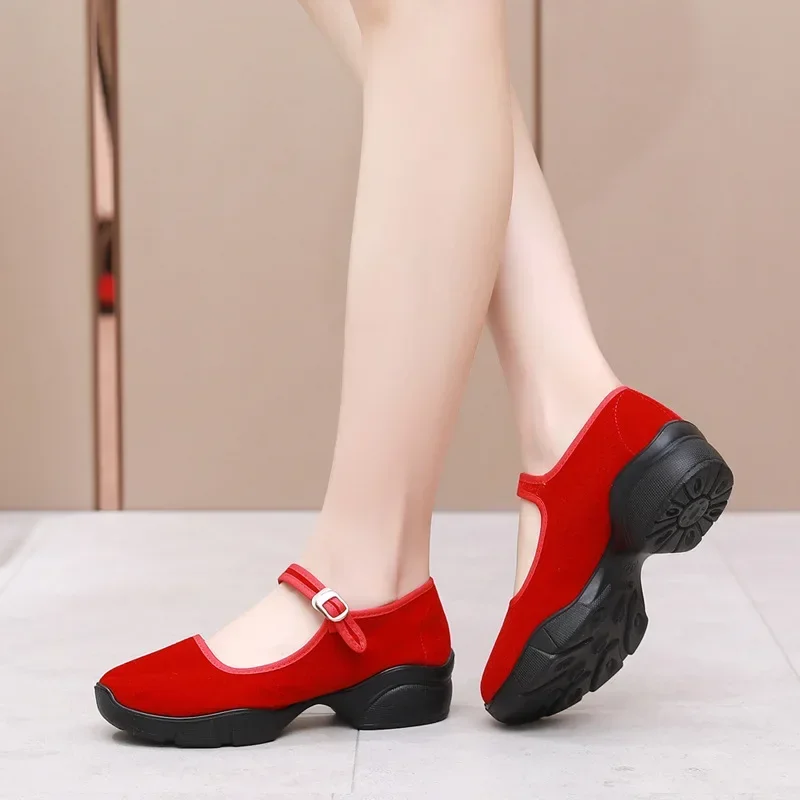 Autumn New Women\'s Shoes Fashion Platform Block Heel Casual Shoes Fitness Walking Dancing Sneakers Luxury Velvet Mary Jane Heels