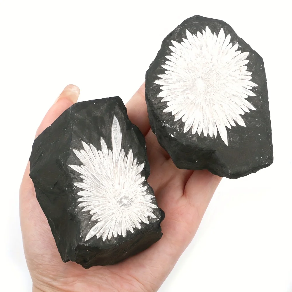 1PC Natural Chrysanthemum Stone - Bohemian Floral Decor , Elegant Home/Office Decoration, Birthday/Christmas/Valentine'S Gift