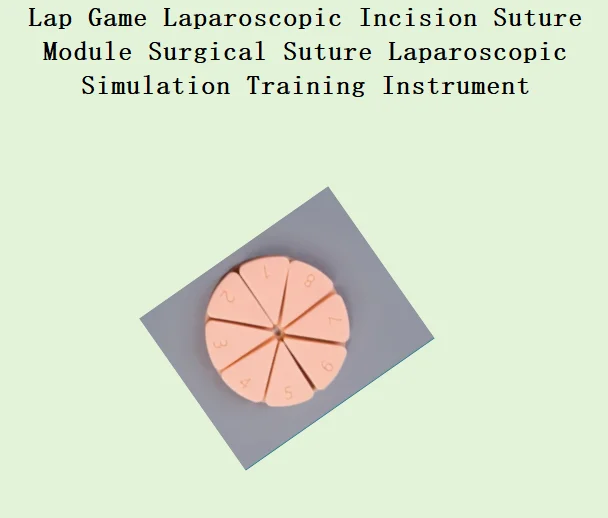 Lap Game Laparoscopic Incision Suture Module Surgical Suture Laparoscopic Simulation Training Instrument