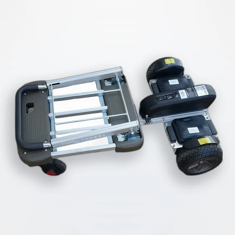 Self Balance Scooters Foldable Electric Trolley Dual Brushless 15-38km D1T 150-200KG 36V 400W-800W 48V featuring Motor Load