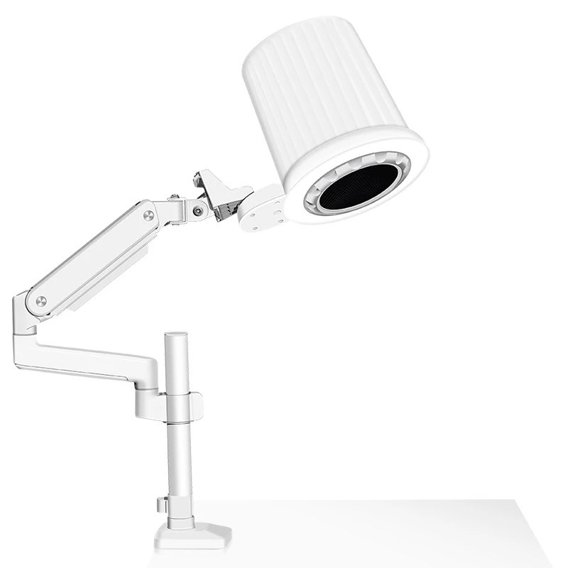 STLFPpotente aspirazione polvere 80w Aspirapolvere per unghie - Tipo di aspirazione superiore Forniture e attrezzature per nail art facili da installare