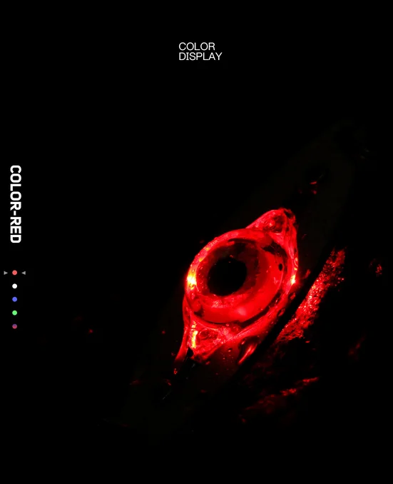 Drehbare LED Angel köder Licht Deep Drop Angell öffel Unterwasser Augen form Angel köder Light Tackle Ausrüstung Zubehör – Detail 3