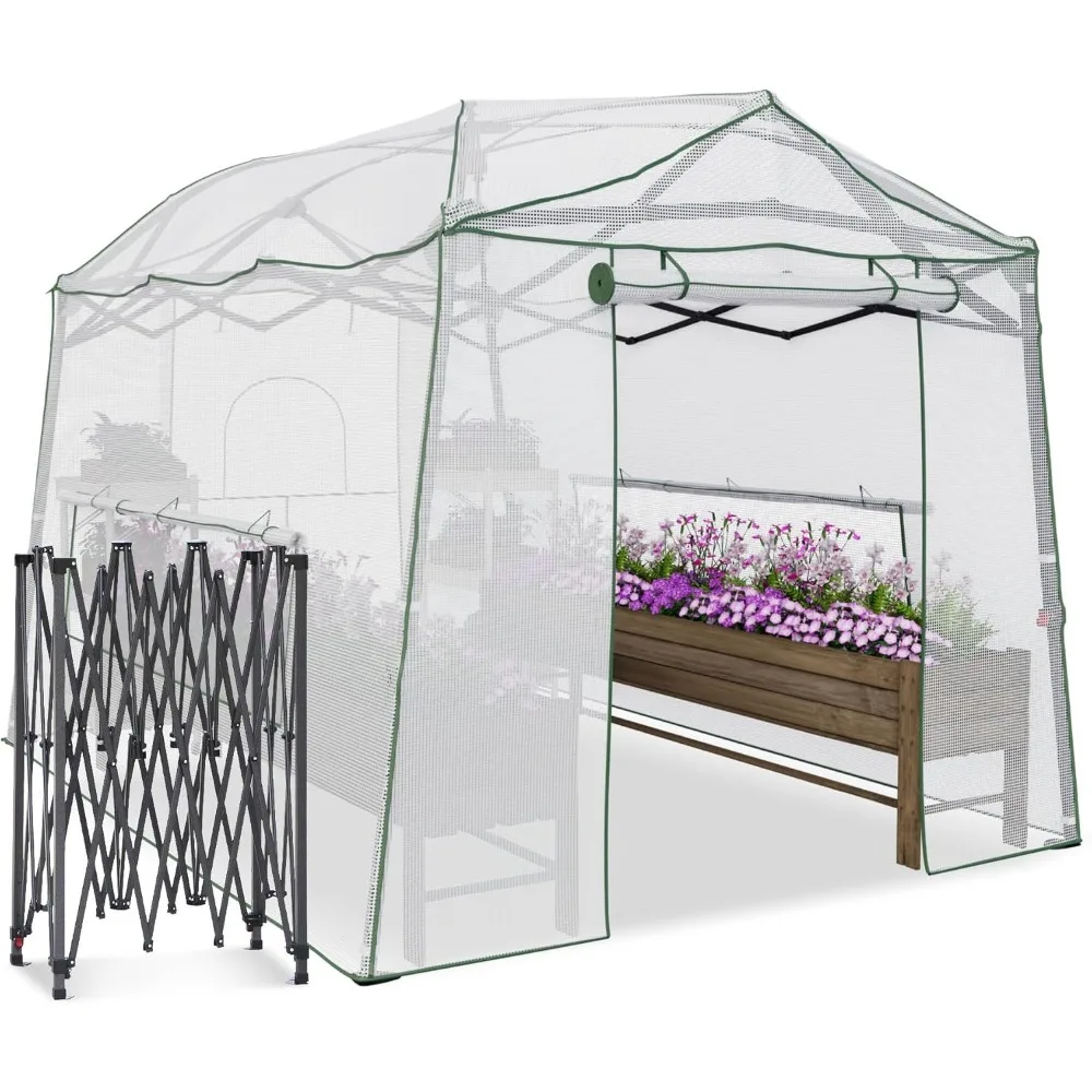 

11 x 8.5 x 7.5 FT Walk-in Greenhouse, Portable Pop-up Greenhouse for Indoor Outdoor, Plant Garden Green House with Zippered Door