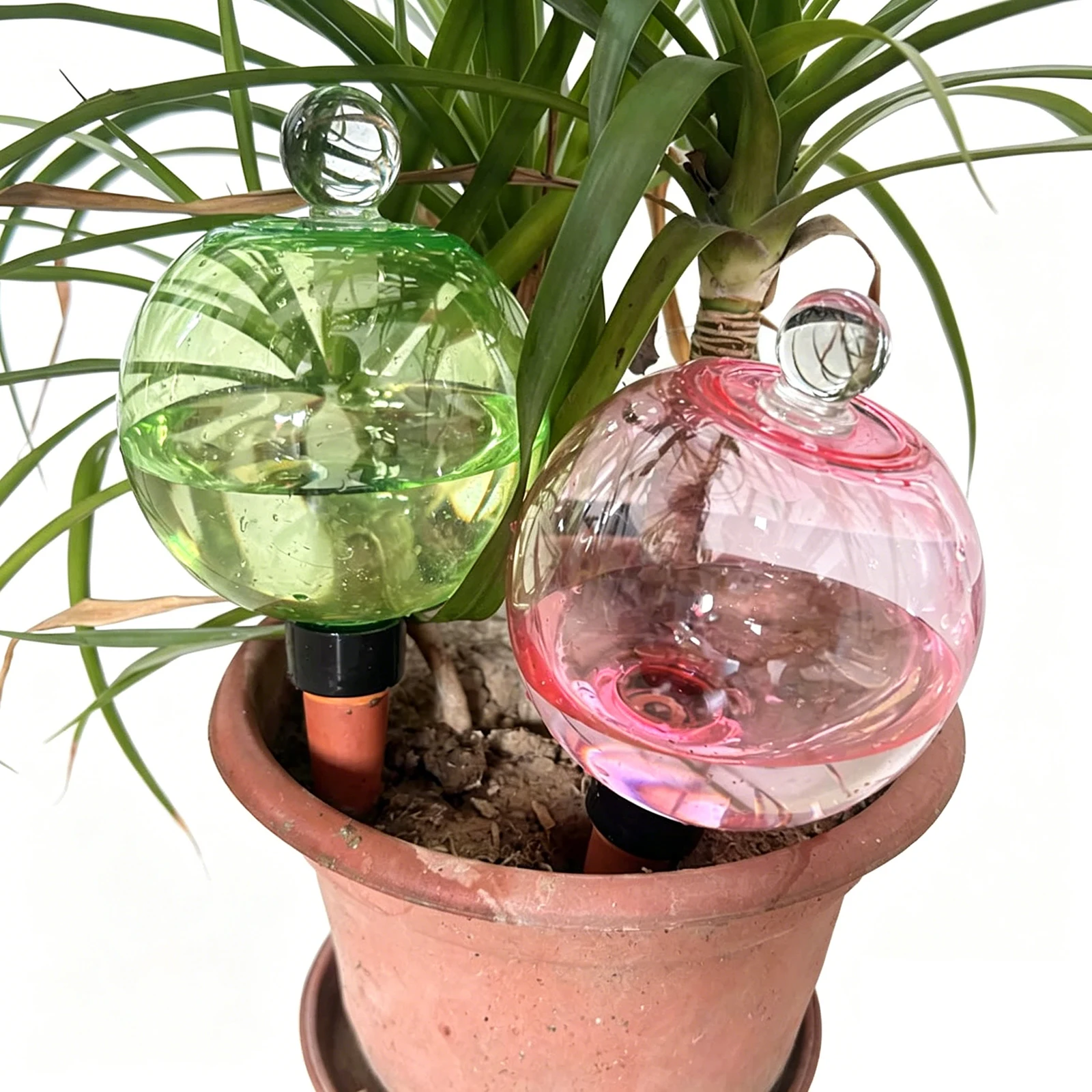 Self Watering Globes Top Fill Automatic Houseplant Drip Irrigation Water Spikes Stakes Devices System for Vacation Plant Savers