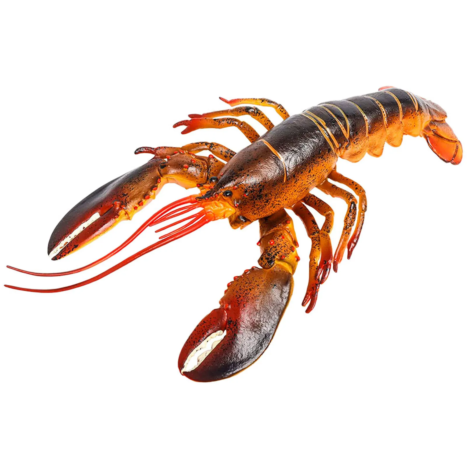 

Simulation Lobster Realistic Plastic Decoration Educational Animal Figure Learning Kid Cognition
