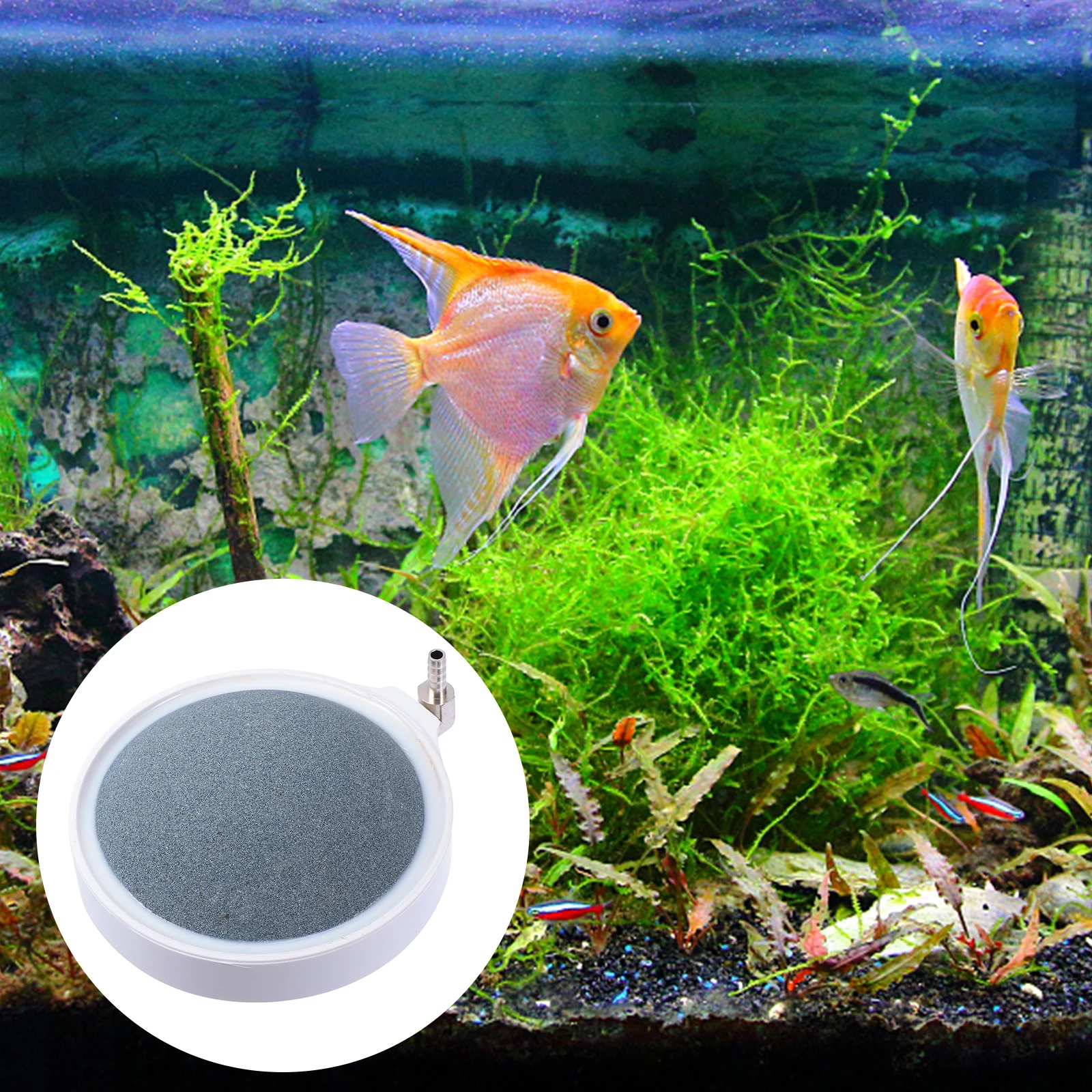 

Air Stone Bubble Diffuser For Aquarium Fish Tank Oxygen Diffuser Premium Material Lightweight Compact Long Service Life Small