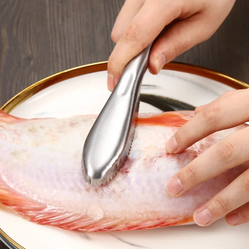 

Stainless Steel Fish Scaler Remover - Sturdy Fish Scale Cleaner Descaler Tool- Reliable Fish Scale Cleaning Scraper Shrimp
