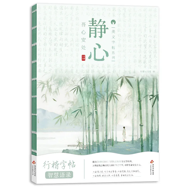 Hard-tip Calligraphy Practice Copybook Regular Script Writing Copy Beautiful Articles for Students Beginner Calligraphy Suppiles