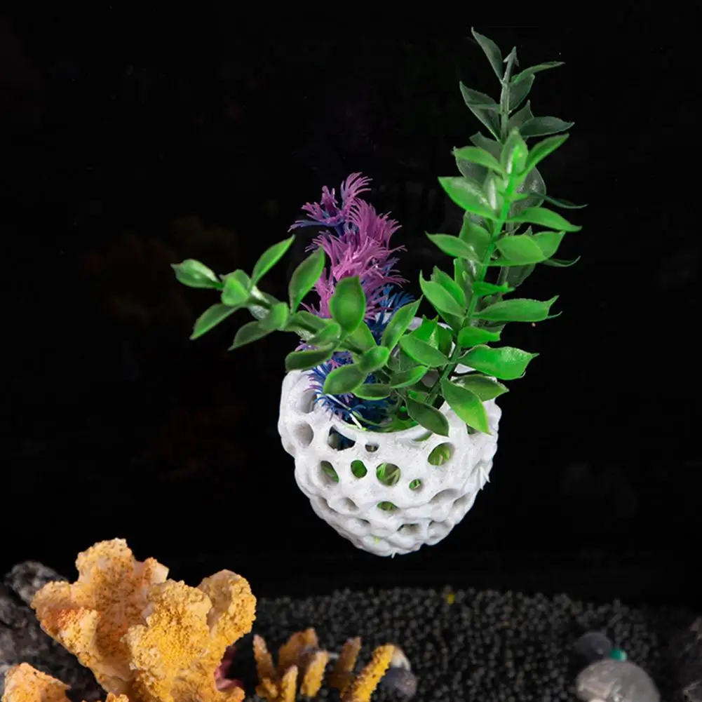 shrimp-dome-hideout-for-aquarium-high-quality-shrimp-dome-shrimp-dome-hideout-aquarium-shelter-betta-fish-habitat-with-suction