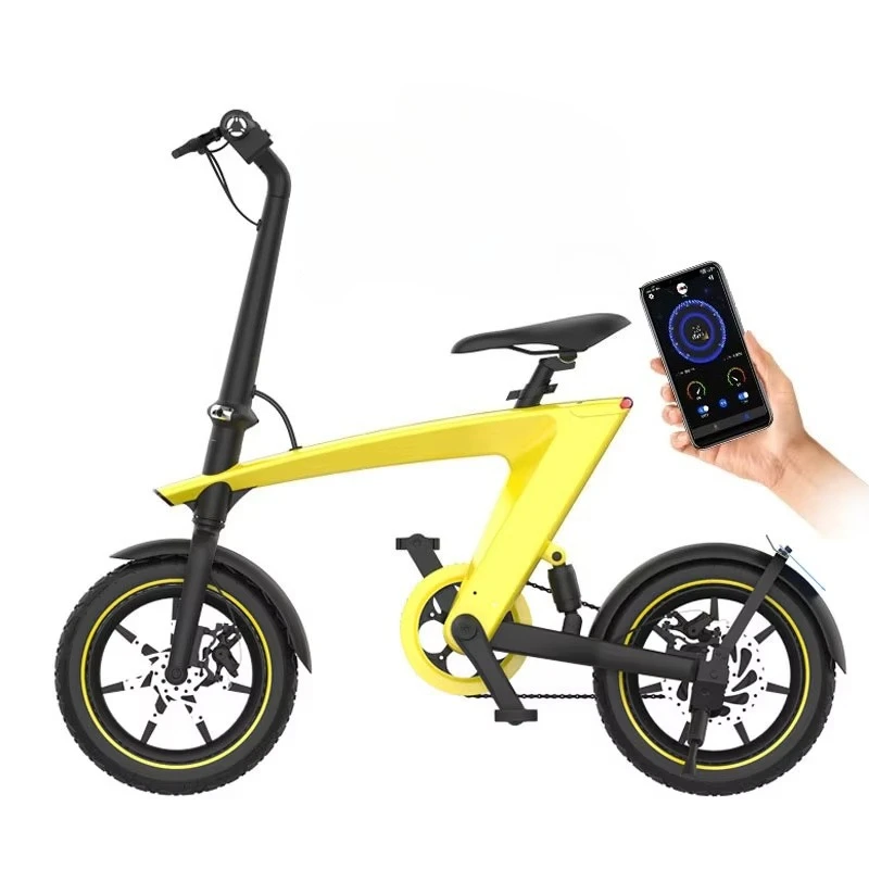 

2025 Newest 250W 14 Inches Pedelec Folding Ebike Detachable Battery Long Range 35KM Electronic E Bike Price