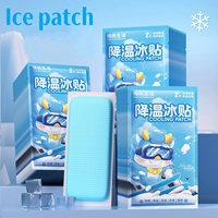 2/6pcs Disposable Gel Cooling Pads Heat Reduction Ice Patch Summer Outdoor Heat Relief Self-Adhesive Ice Pack for All Ages