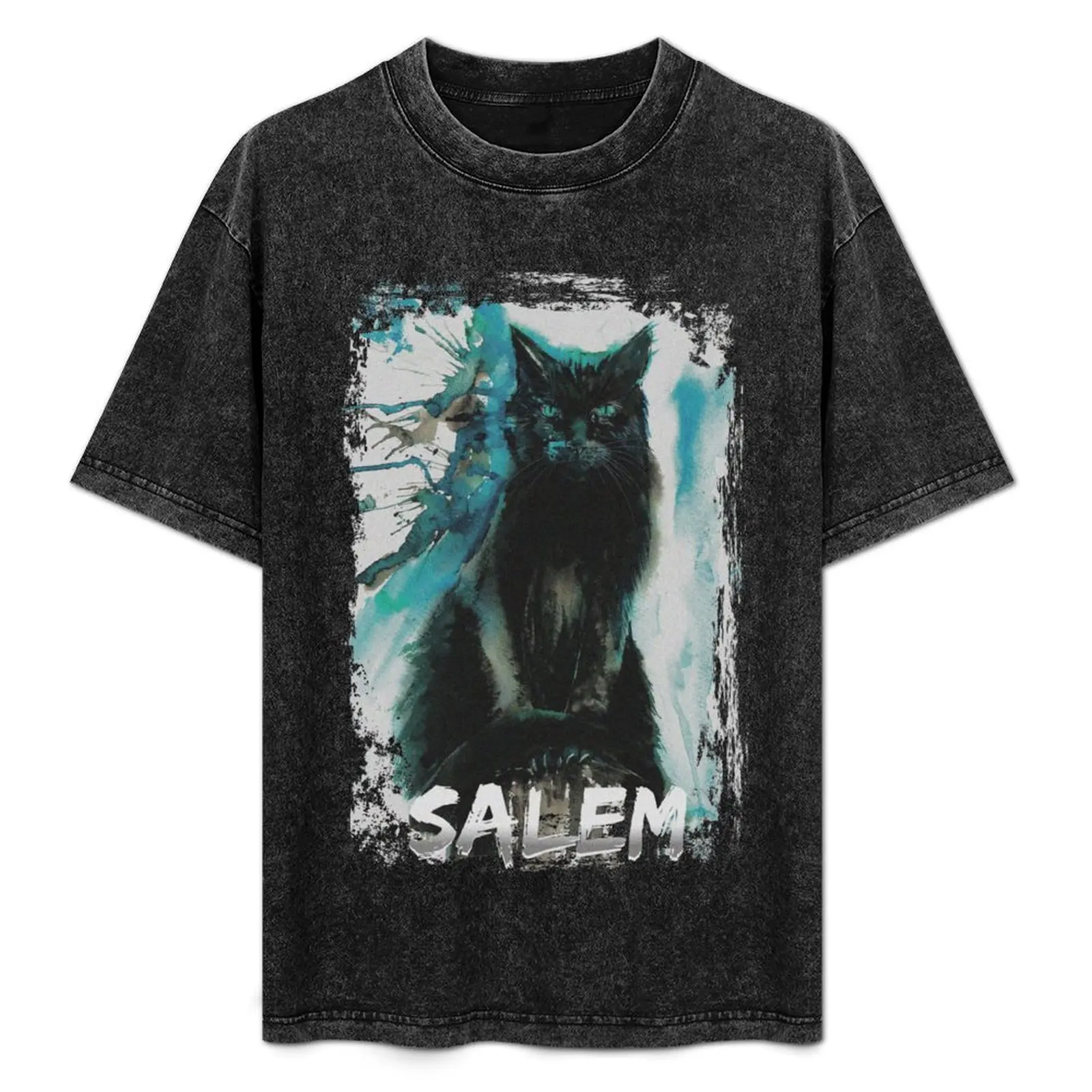 

Cat Salem familiar T-Shirt clothes Anime t-shirt t shirts men