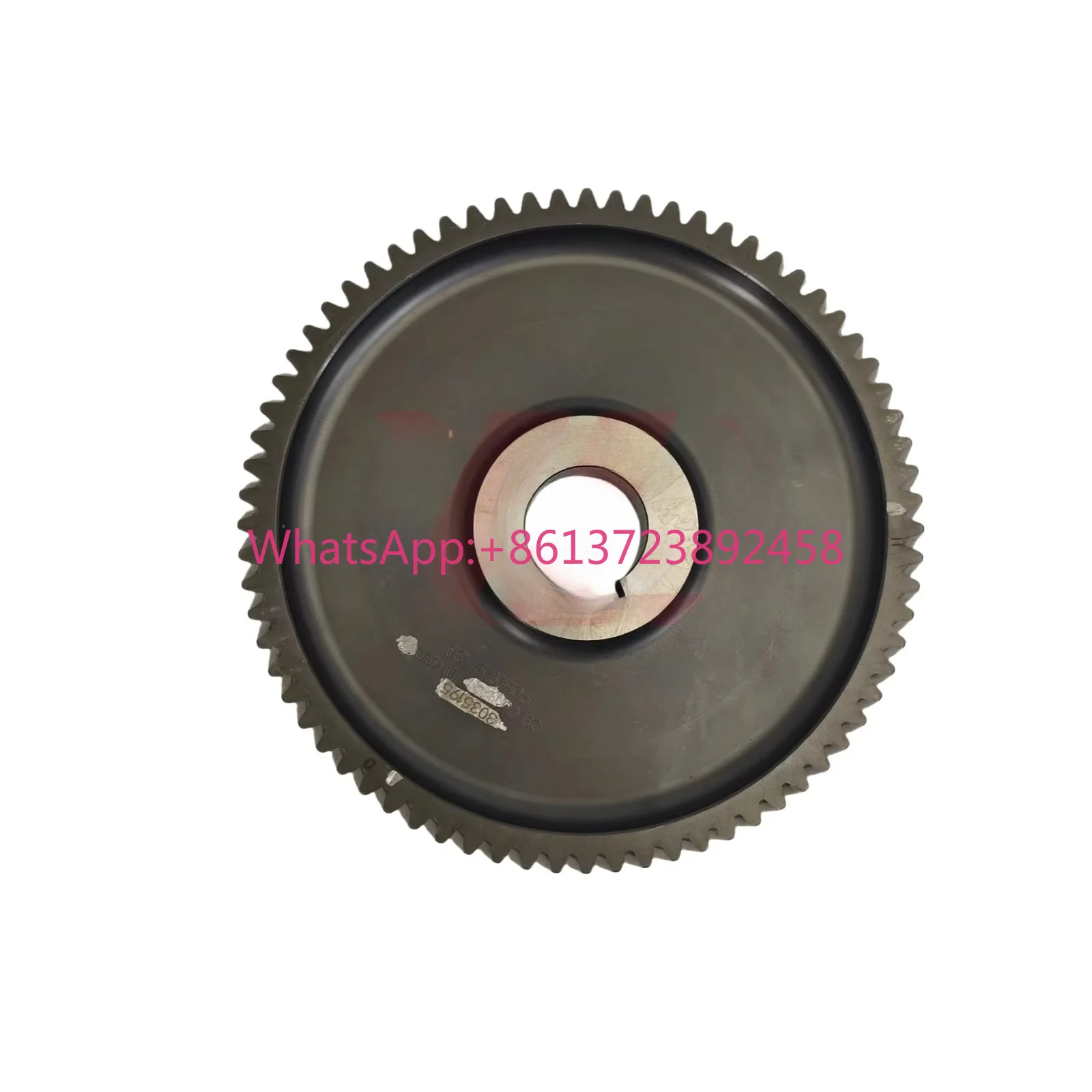 forHigh Quality Diesel Engine Parts Camshaft Gear 3035195 for Cummins NT855