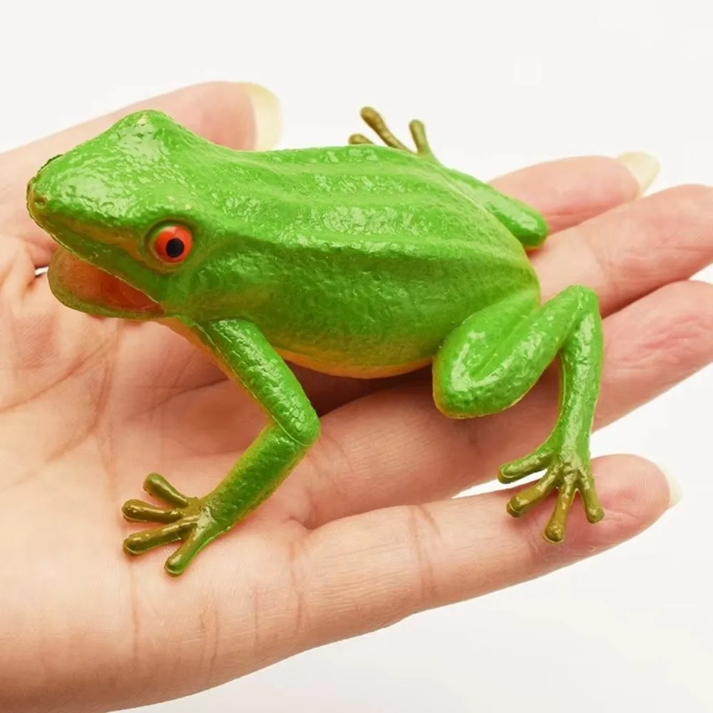 Plastic Simulation Frog Toy Realistic Texture Interactive Frog Model Toy Lifelike Appearance Multiple Colors Squeeze Sound Toy