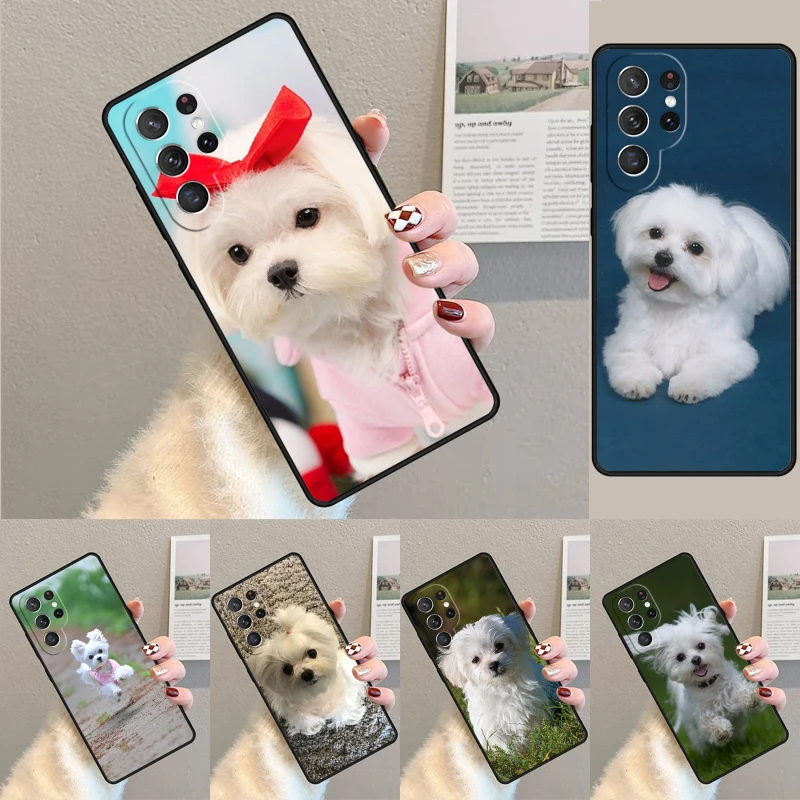 Maltese Dog Puppies Silicone Phone Case For Samsung Galaxy note 10 pro S26 S25 S24 S23 S22 S21 Plus S25Ultra Capa Cover