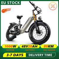 CEAYA A20PRO Electric Bike 1000W 20” Fat Tire E-Bike With 48V/20Ah Battery 7 Speed Electric Mountain Bike Adults Men & Women