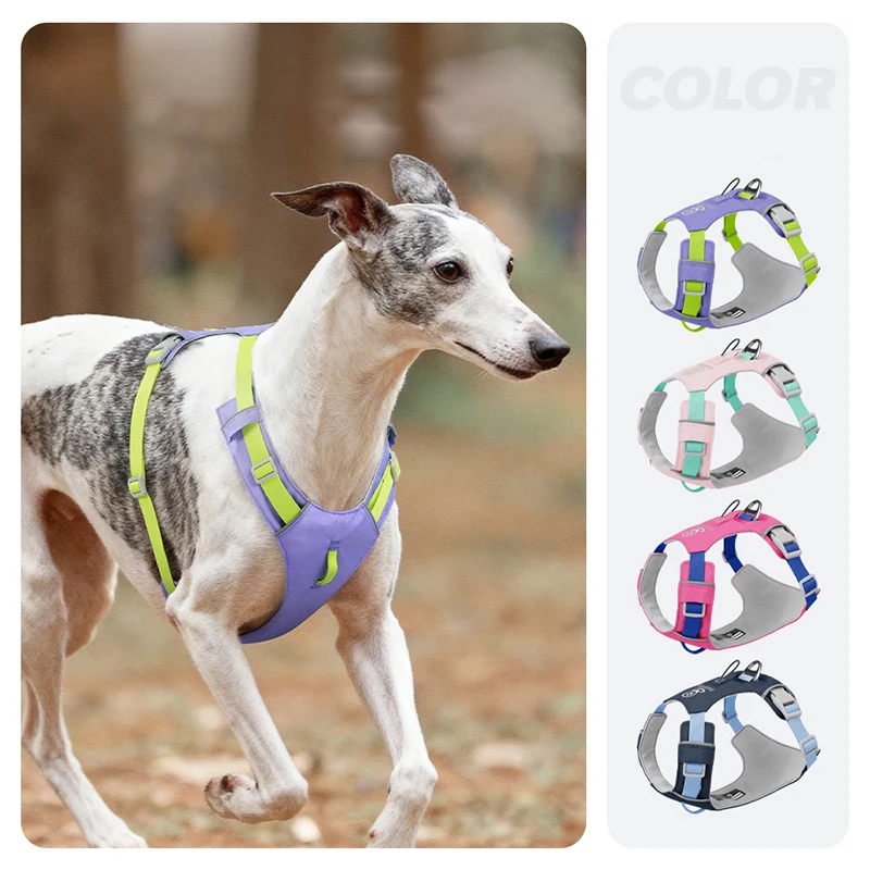 

Дышащая легкая шлейка для собак, регулируемый водонепроницаемый быстросохнущий жилет для домашних животных с ночными светоотражающими ремнями Pechera Para Perro