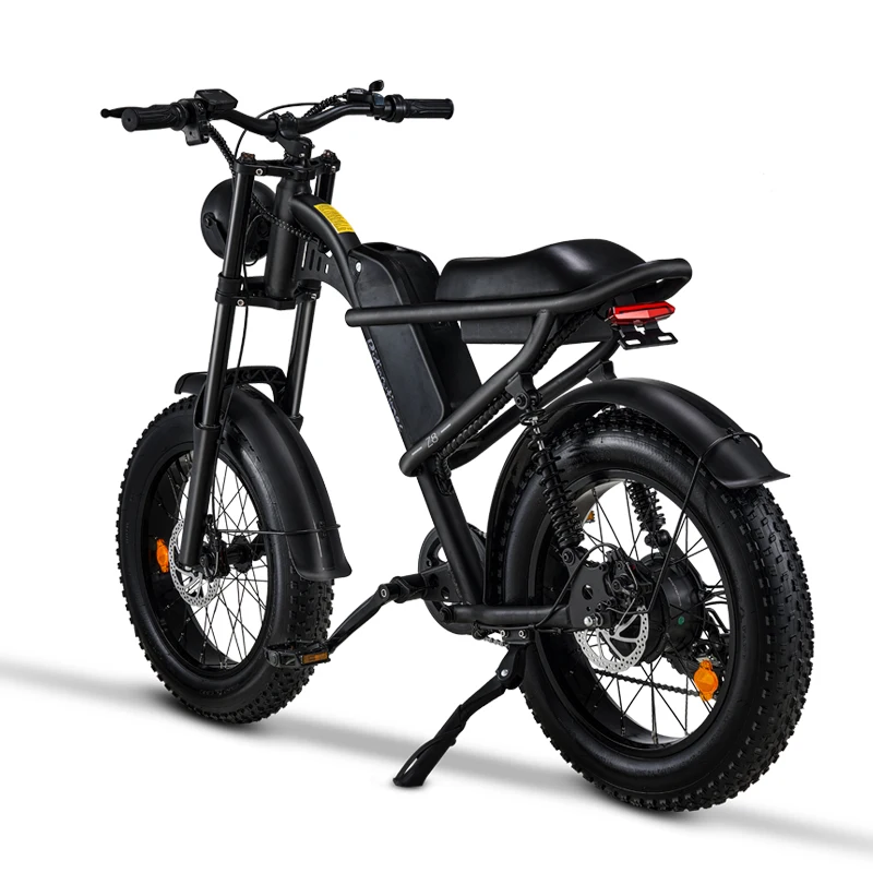 

elektro velosiped 20 inch 48v 500W fatbike Z8 lady electric bicycle with full suspension