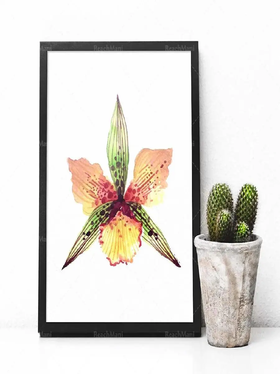 Orchid Watercolor Art Print Set of   Tropical Flower Paintings Printable Wall Art Floral Decor for Summer Plants and Nature Insp