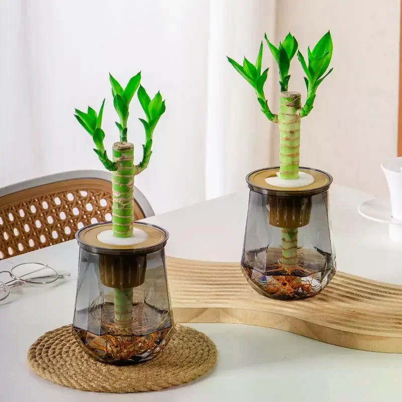 Mini Self Watering Flower Pot Fish Tank Transparent Plastic Plant Pots Self Watering Planter Pot Vase For Home Decoration