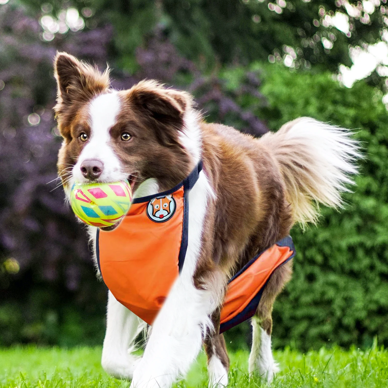 

1 Pcs Adjustable Lightweight Pet Raincoat Waterproof Dog Clothes For Rainy Weather