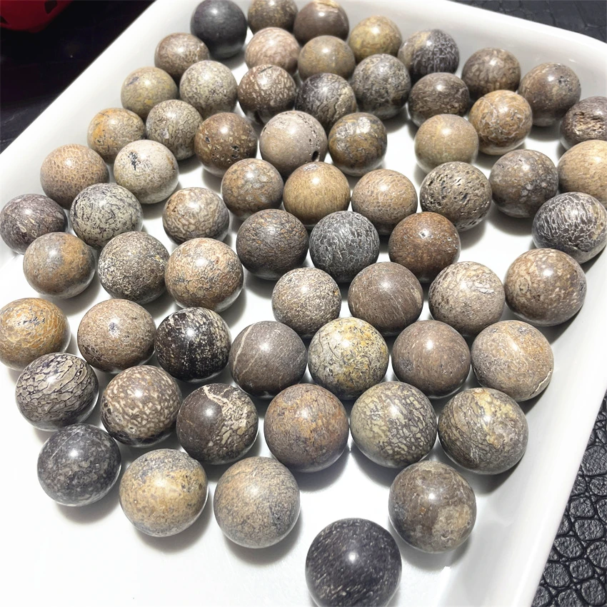 3pcs Dinosaur Bone  Ball Natural Stone Sphere Smooth Polished Pebble Reiki Healing Chakra Stone Home Decoration
