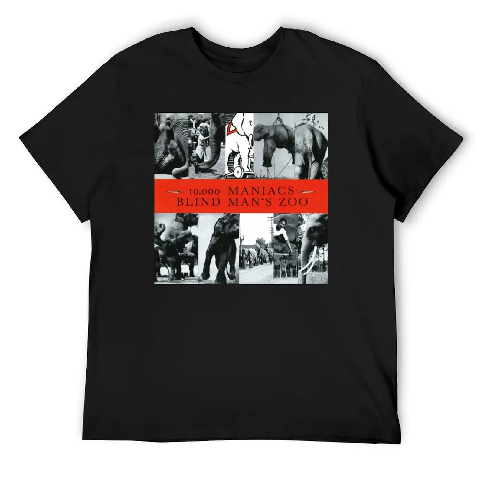 

Футболка 10,000 MANIACS BAND, роскошная одежда, футболки с рисунком labubu rapper, рубашки с рисунком, футболка большого размера для мужчин