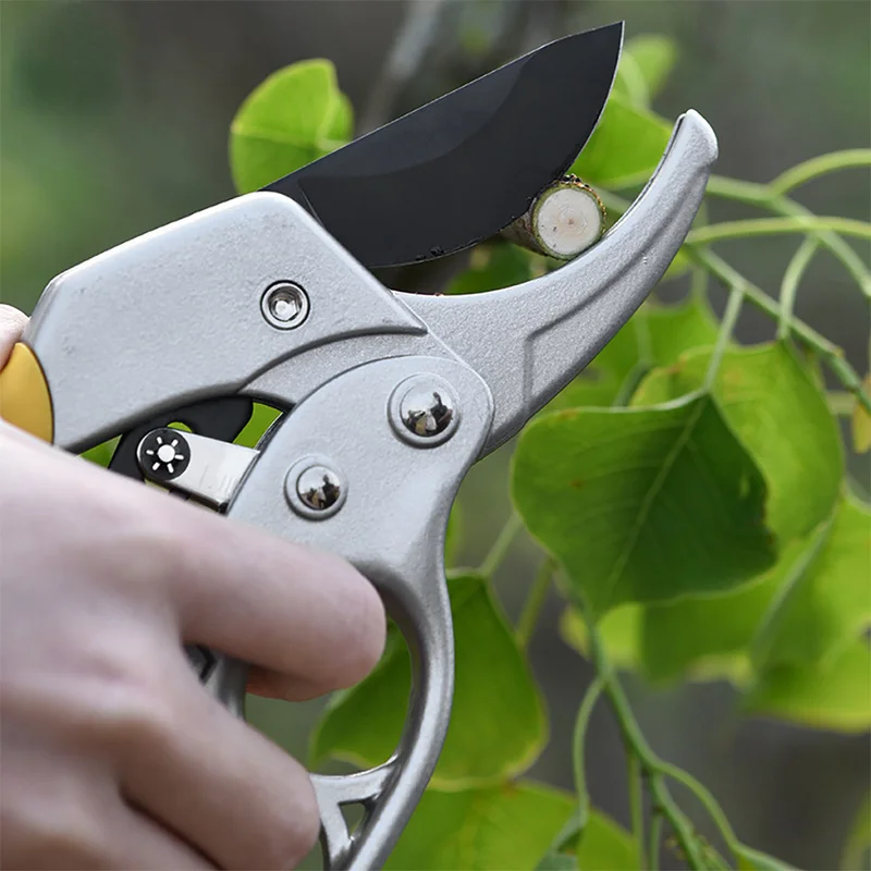 

Garden Pruning Shears Cutter High Carbon Steel Gardening Plant Scissor Branch Pruner Trimmer Tools Wholesale