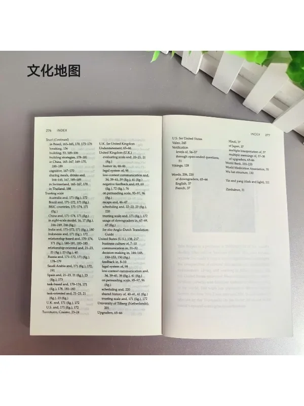 De cultuurkaart van Erin Meyer - Decoderen hoe mensen denken, leidden en werken over culturen in de internationale bedrijfsleven