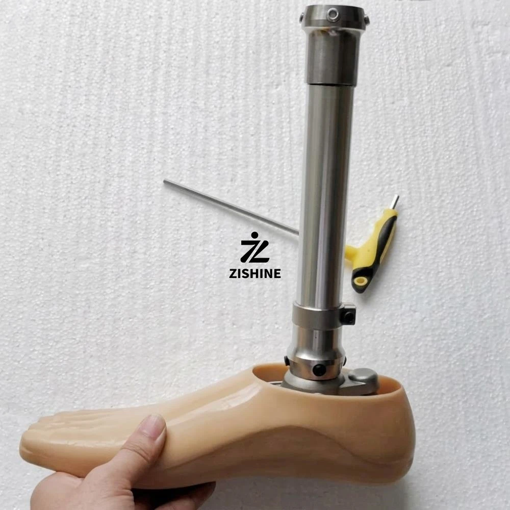 Stainless Steel Prosthetic Foot Kit Dual Hole Split Toe Prosthesis Foot Plate 22cm Tube Clamp Connector Ankle Joint Assembly