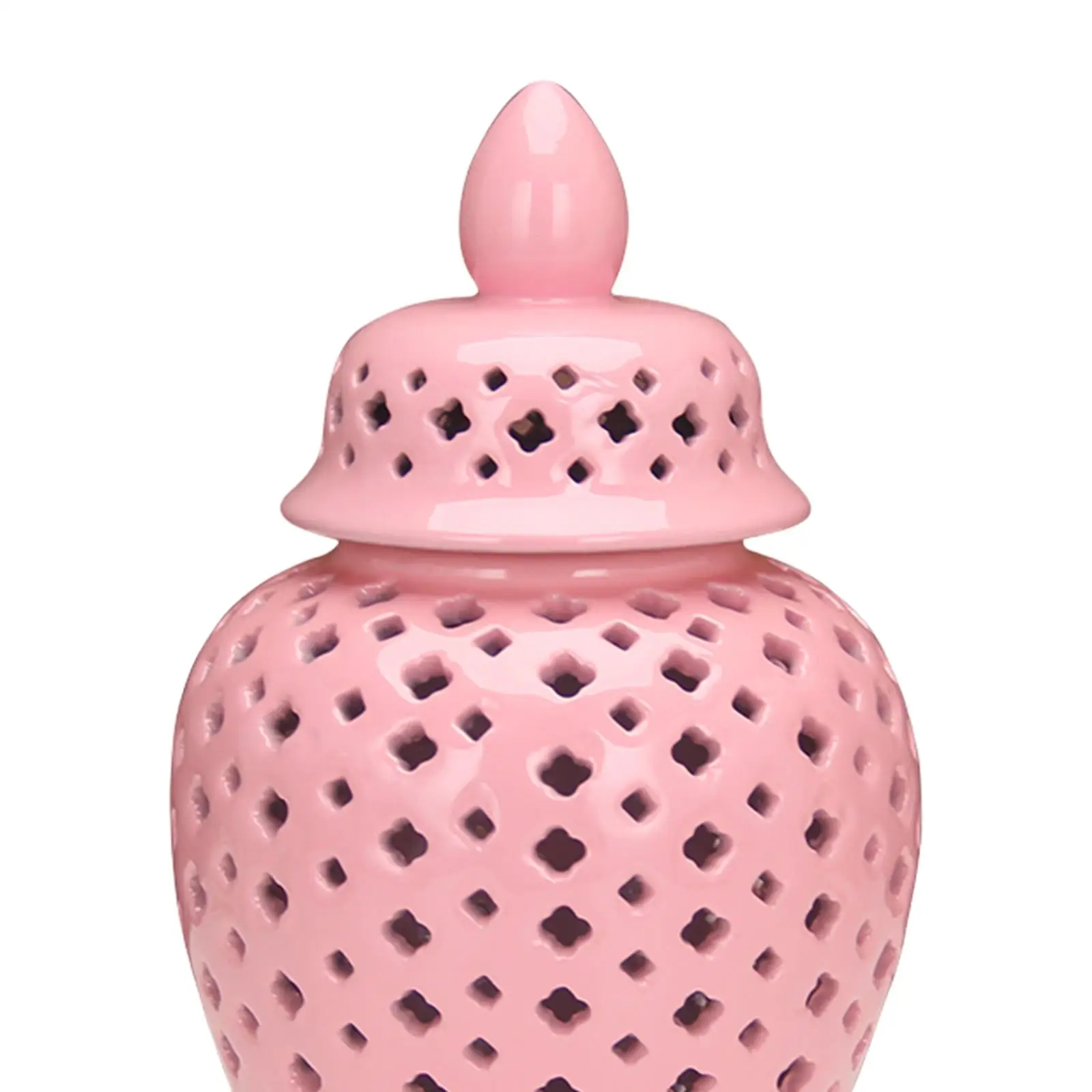 Porcelain Ginger Jar Hollow Out Decorative Ceramic Vase with Lid Table Ornament for Living Room Floral Arrangement