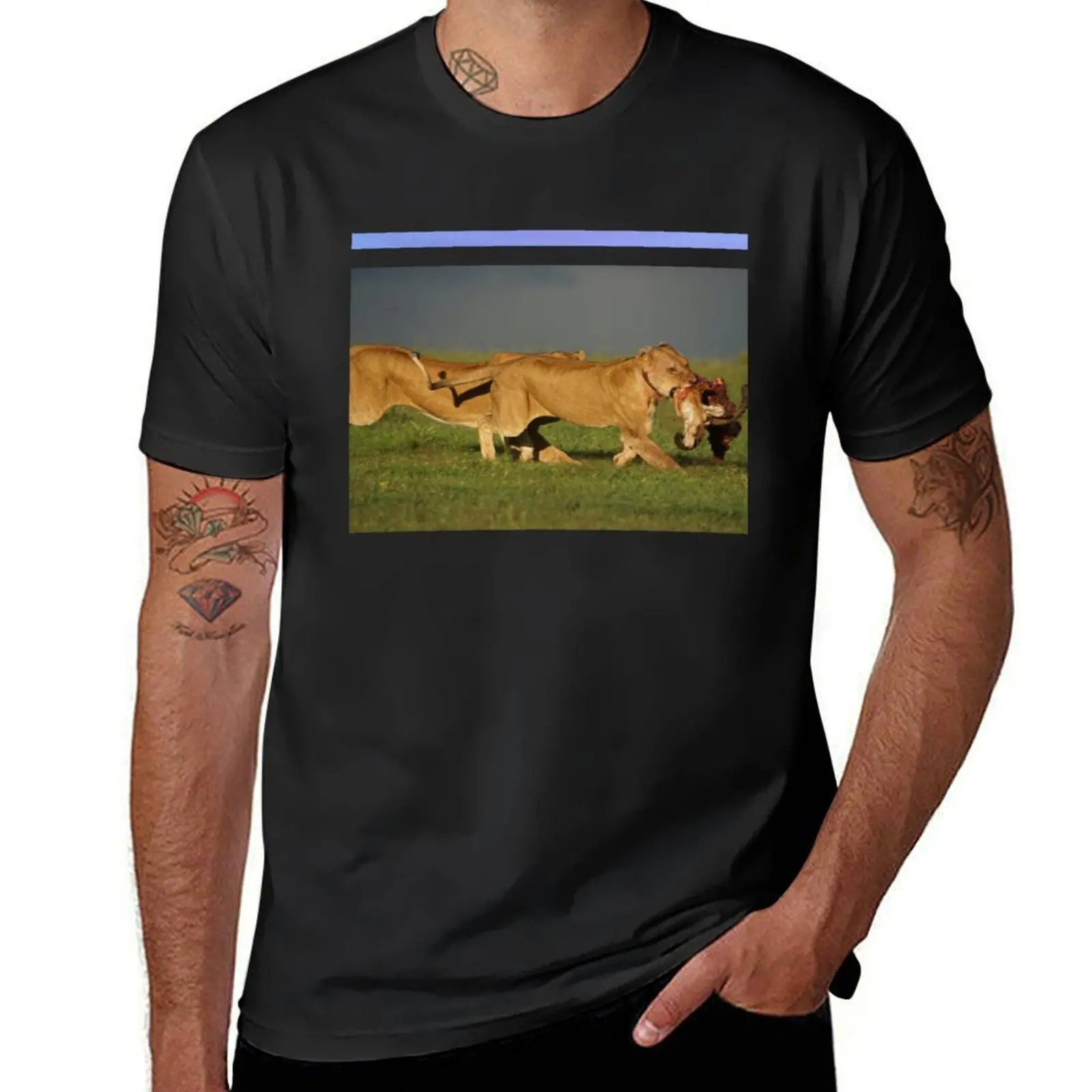 Roaming Lionesses with their prey under the sunrising sky T-Shirt boys whites summer clothes men clothing