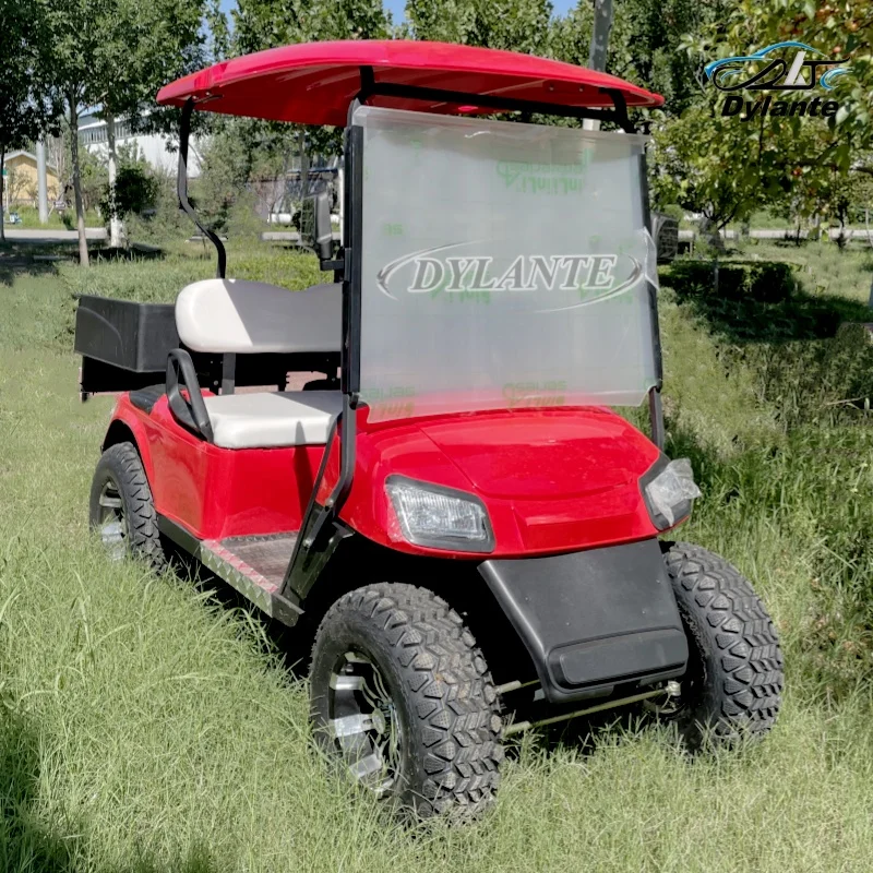 Factory Customized 2 Seater 4 Seater Golf Cart with Cargo Box Outdoor Camping Car 5000W For Pastures, Farms And Factories