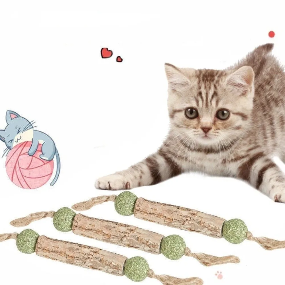 Pure Natural Cat Teeth Cleaning Stick Catnip Actinidia Fruit Cat Snack Stick Toothpaste Cat Molar Toothpaste Stick
