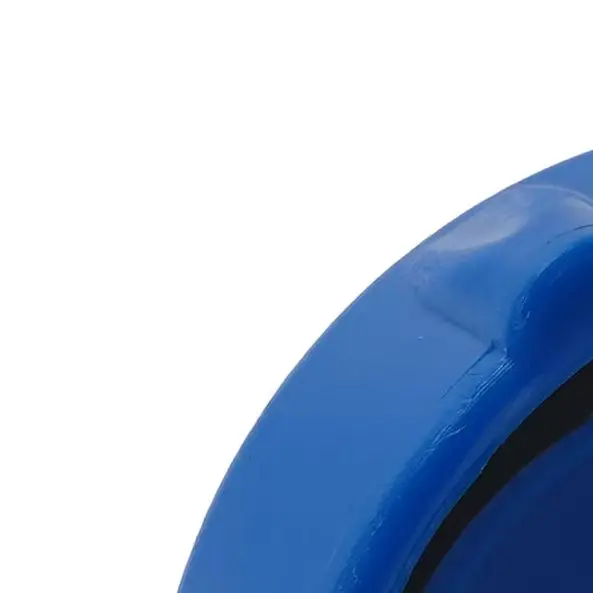 Blue Plastic Drain Valve Cap P01006 Replacement Part For For Coleman Swimming Pool Equipment Spare Accessories Except Steel Wall