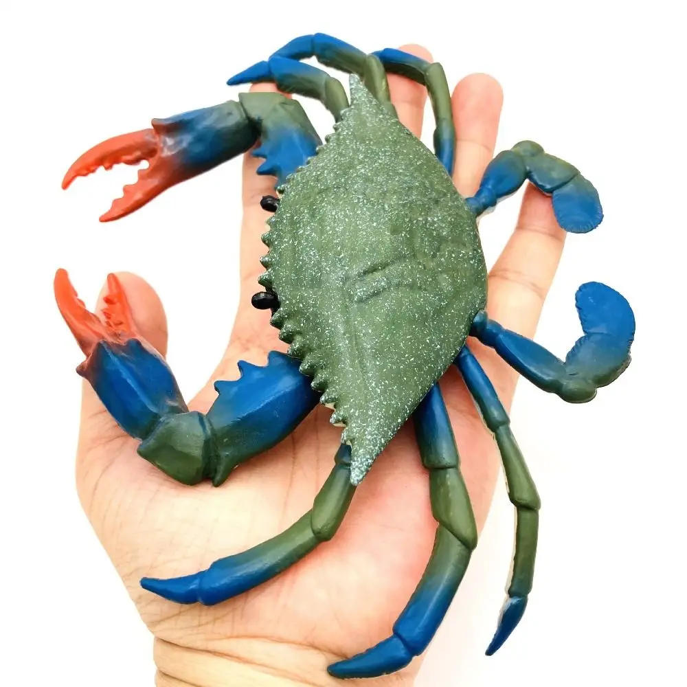 بولي كلوريد الفينيل محاكاة الحياة البحرية الحيوانات نموذج اليدوية تحصيل الأخطبوط عمل أرقام لعبة الحرف زخرفة كراب نموذج التماثيل