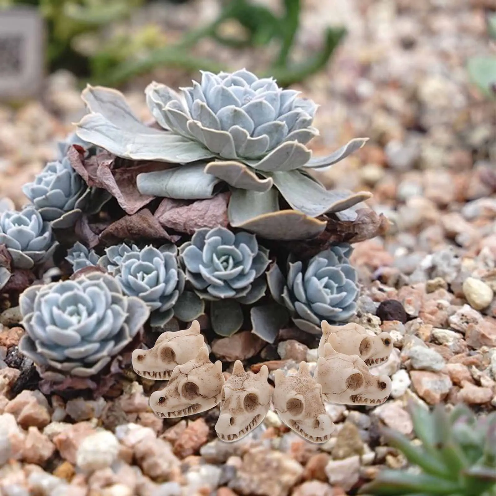 

20pcs Mini Dragon Skull Resin Figurines Outdoor Garden Decor For Fish Tank Yard Lawn Decoration Waterproof Weather Resistant