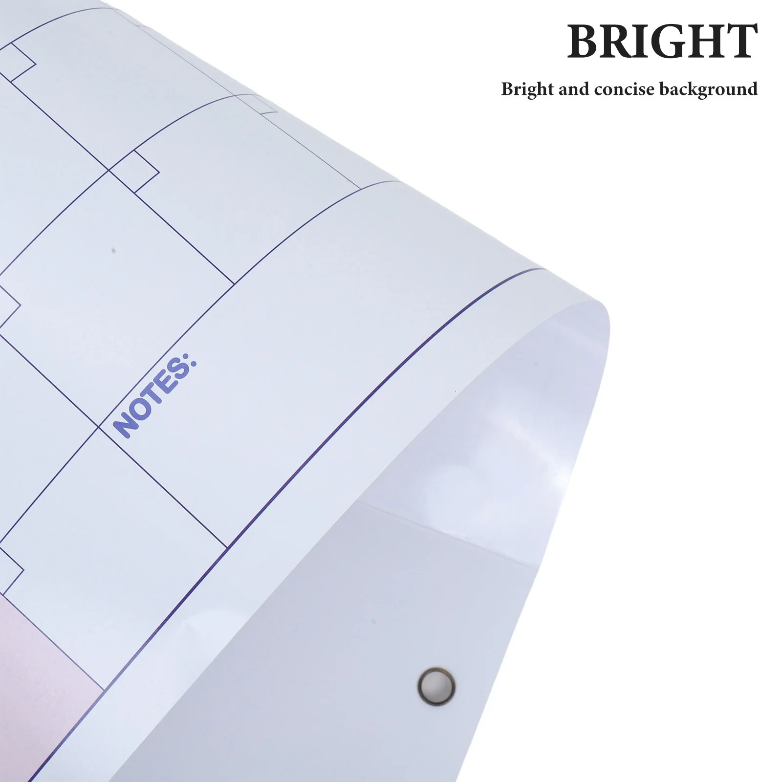 1Set Large Dry Erase Wall Calendar Hanging Undated 12-Month Laminated Reusable Annual Planner for Office