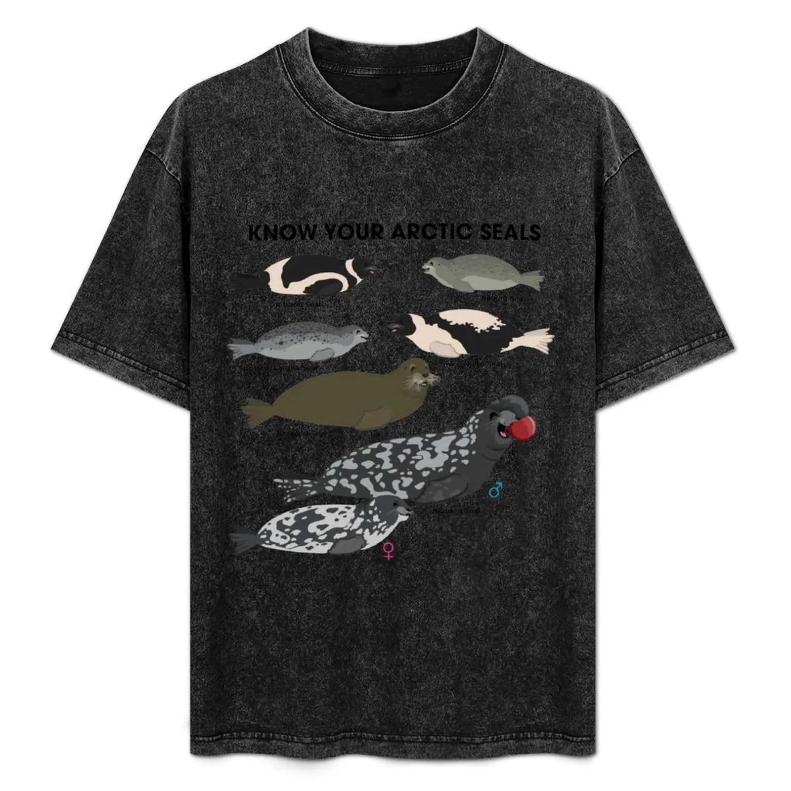 T-shirt « Connaisssez vos phoques arctiques »