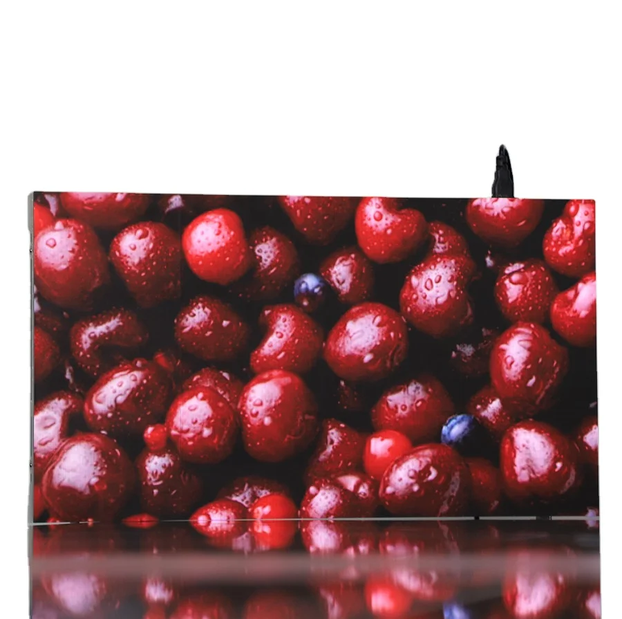 Mini pixel P0.9 P1.25 P1.6 Full Color Led Display Panel Wall Easy to Install Flexible Indoor Rental Led Display Panel