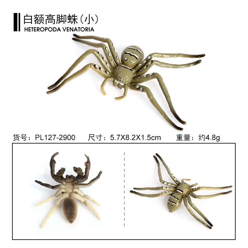 Simulated spider insect model Striped fly lion spider Tall spider Solid ornament Children's cognitive tricky animal toy