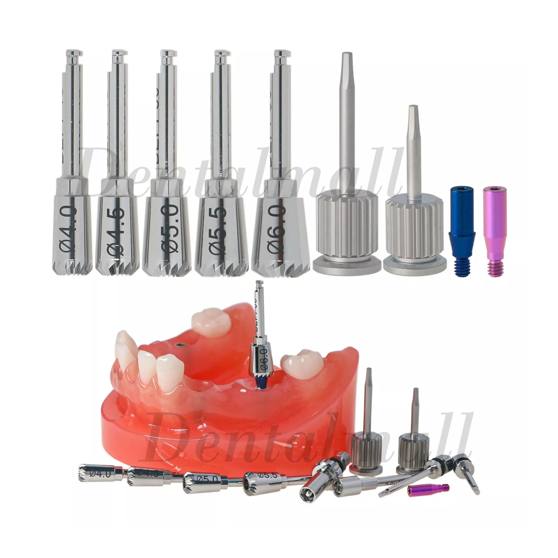 

Dental Implant Restpration Teeth Model Implant Bone Profiler Guide Screw Ø4.0/4.5/5.0/5.5/6.0 Fit Hiossen