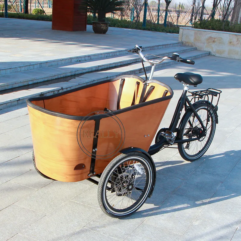 Three Wheel Electric Cargo Tricycle 250w Ice Cream Vending Bike Kids School Carry Bike