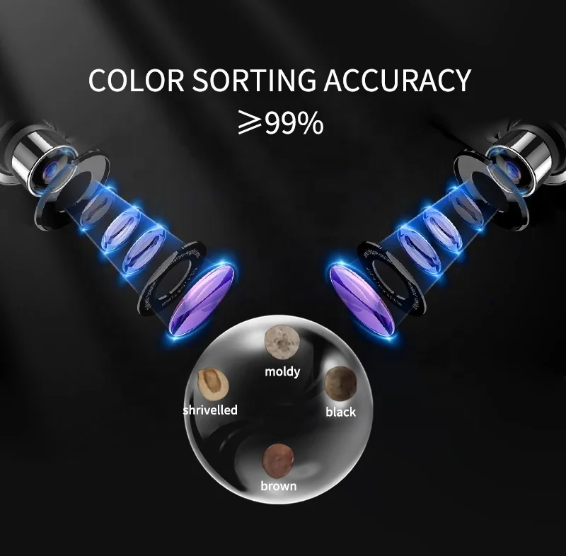 Paddy Seed Processing Machine Color and Shape Sorter Efficient Rice Seed Grading Machine